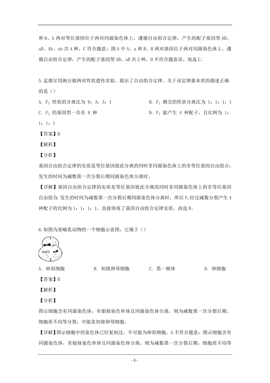 广东省广州市实验中学2018-2019学年高一下学期期中考试生物试题 Word版含解析_第3页