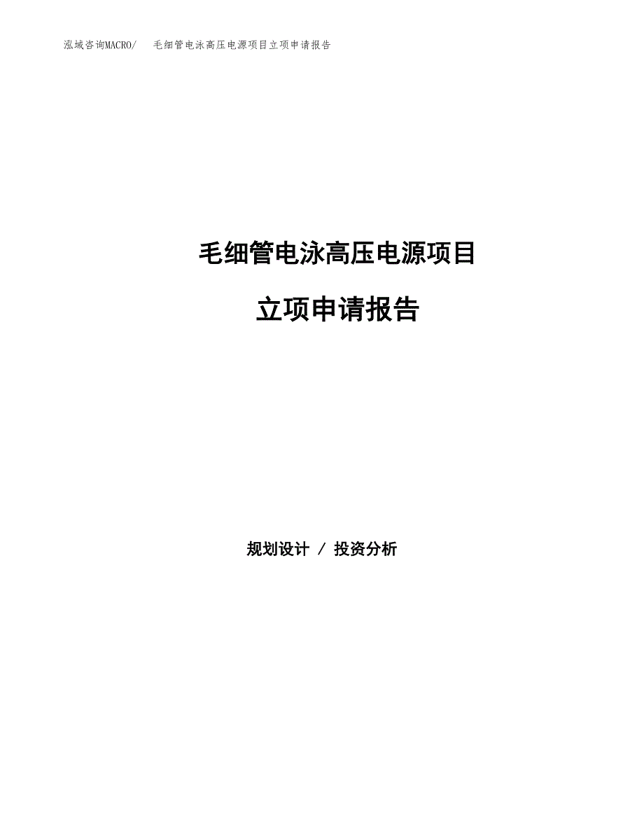 毛细管电泳高压电源项目立项申请报告（总投资4000万元）.docx_第1页