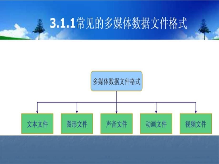 多媒体技术应用之多媒体数据文件_第5页