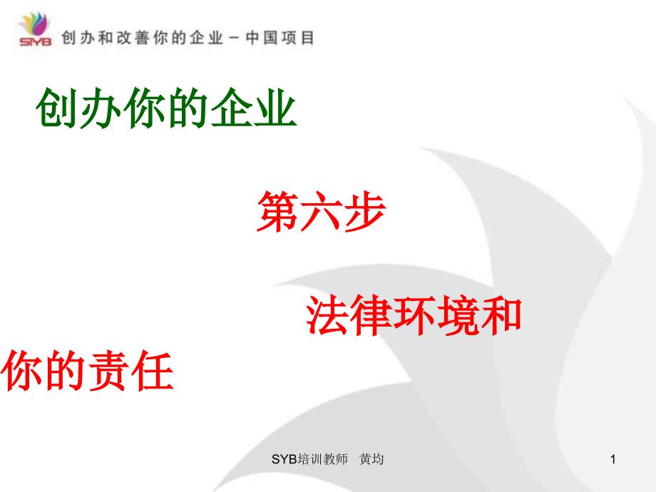 法律环境和你的责任.ppt_第1页