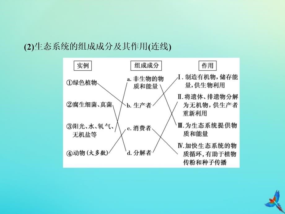 2020版高考生物一轮复习 第29讲 生态系统的结构与能量流动课件 新人教版_第5页