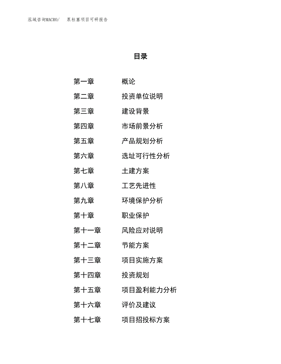 泵柱塞项目可研报告（立项申请）_第1页