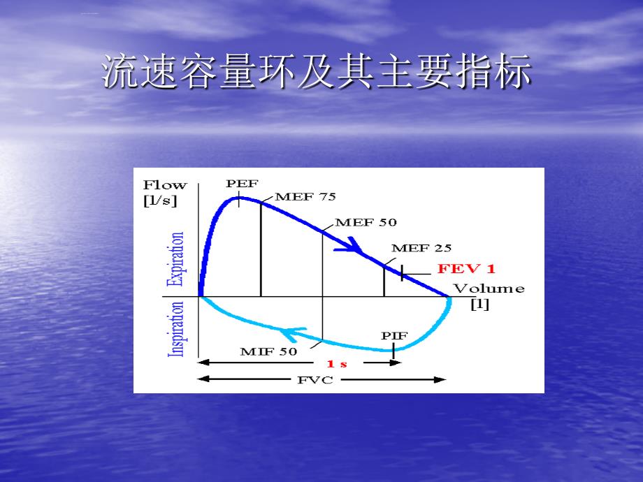 肺功能检查质量控制.ppt_第4页