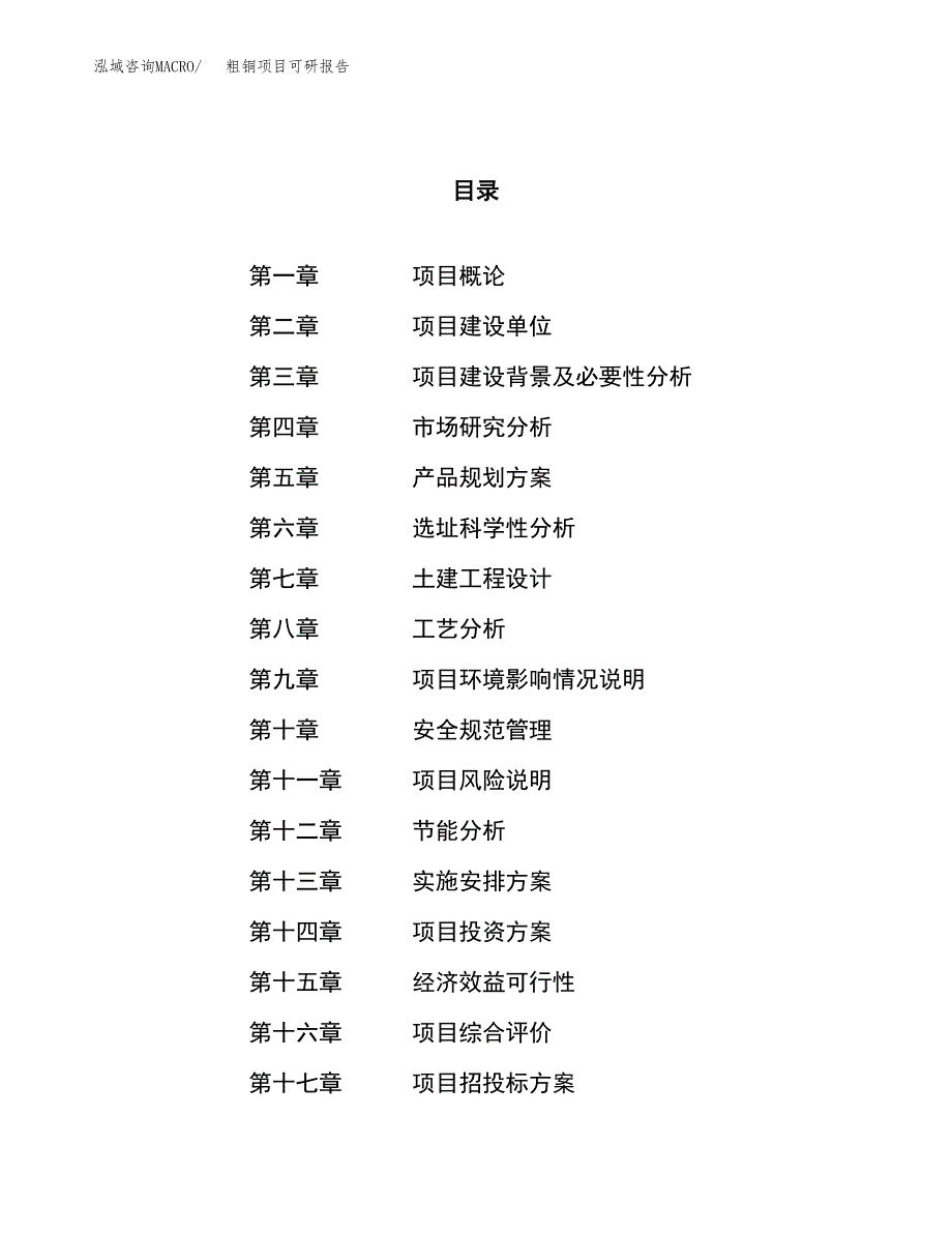 粗铜项目可研报告（立项申请）_第1页