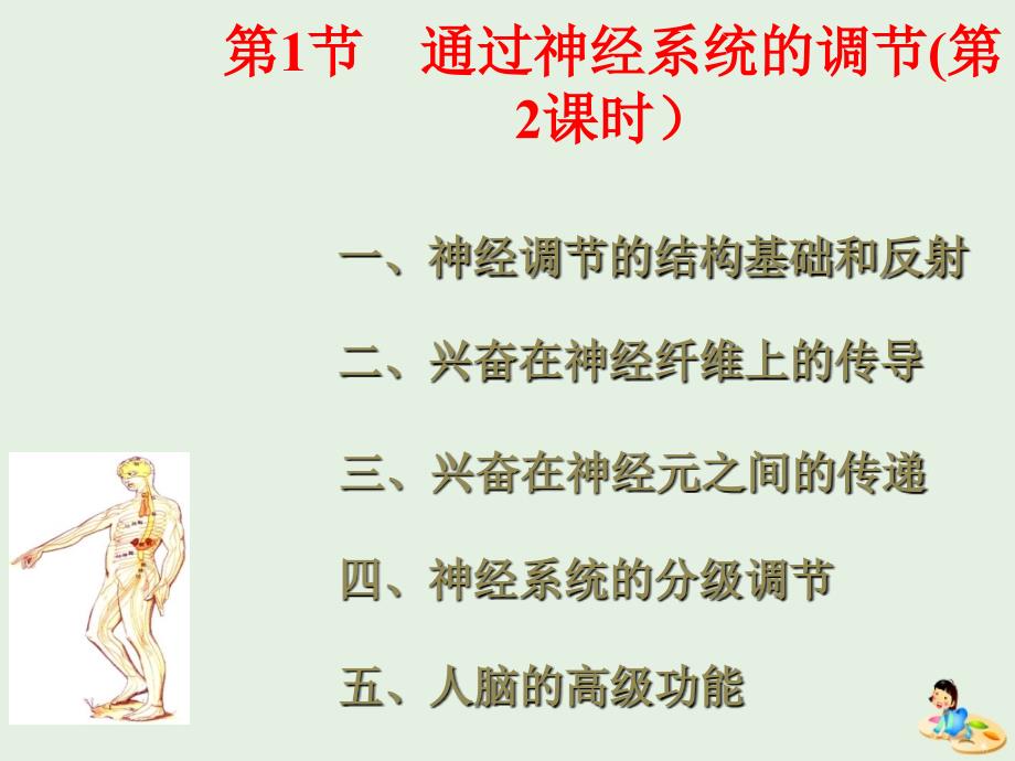 江西省吉安县第三中学高中生物 第一章 人体的内环境与稳态 2.1 通过神经系统的调节（第2课时）课件 新人教版必修3_第2页