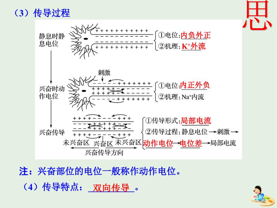 江西省吉安县第三中学高中生物 第一章 人体的内环境与稳态 2.1 通过神经系统的调节（第2课时）课件 新人教版必修3_第4页