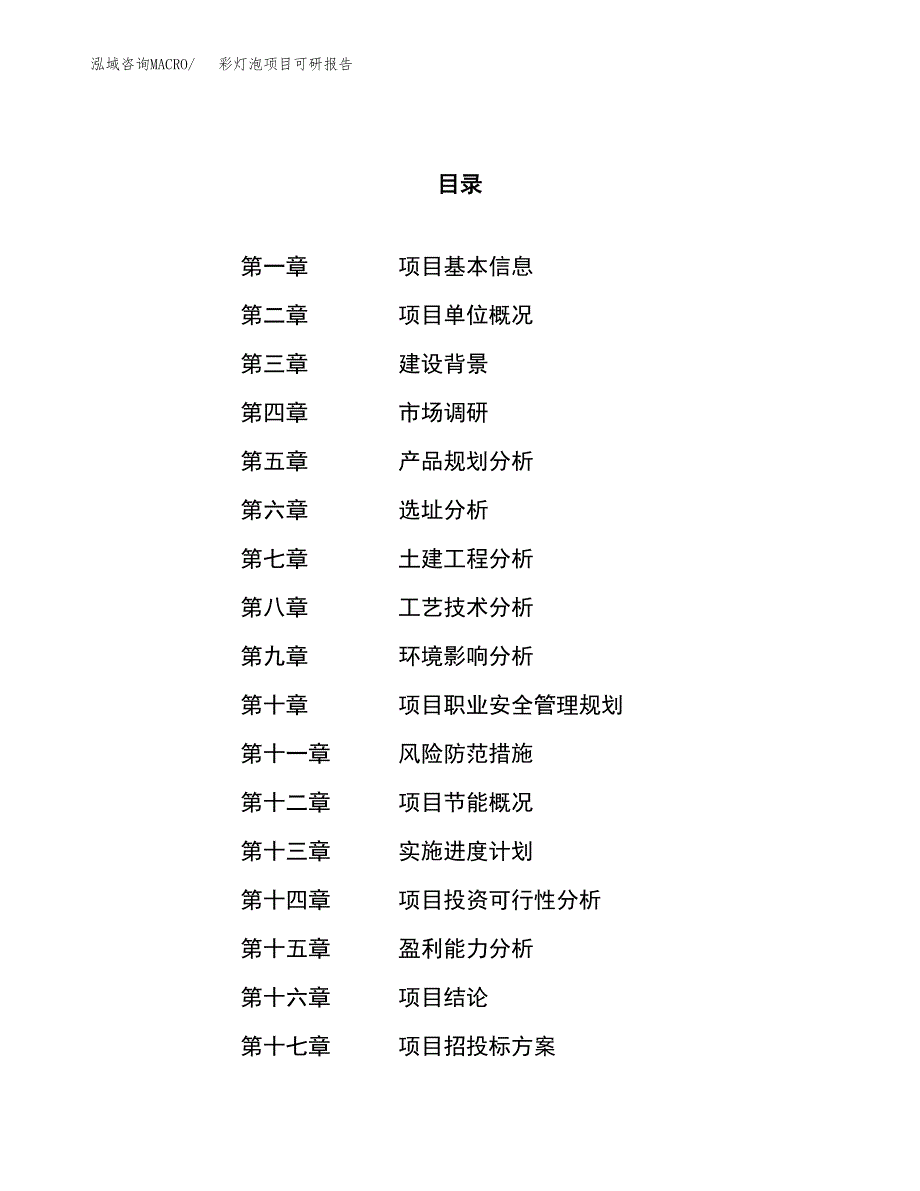 彩灯泡项目可研报告（立项申请）_第1页