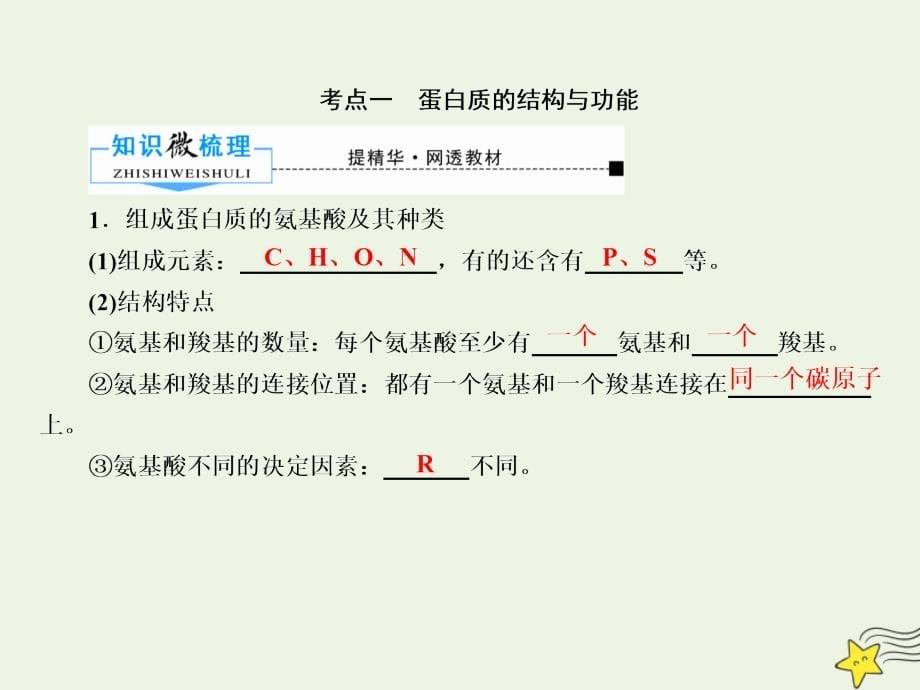 2020版高考生物一轮复习 第一单元 走近细胞及其分子组成 第03讲 生命活动的主要承担者课件 新人教版_第5页