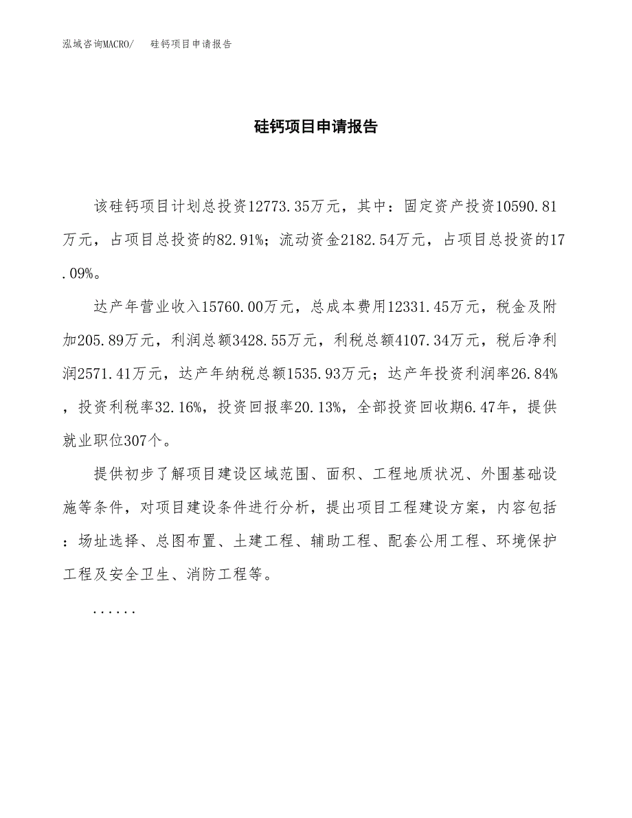 硅钙项目申请报告模板（总投资13000万元）.docx_第2页