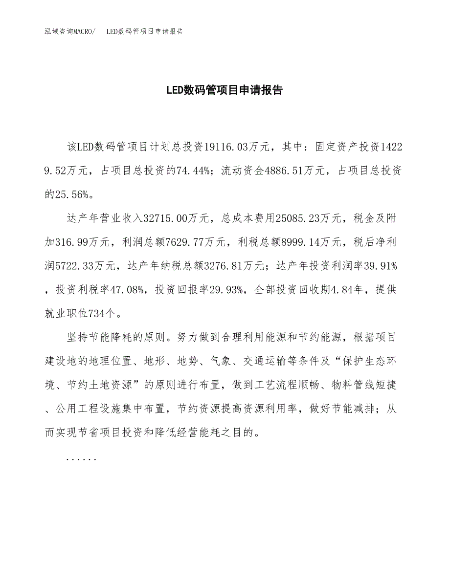 LED数码管项目申请报告模板（总投资19000万元）.docx_第2页