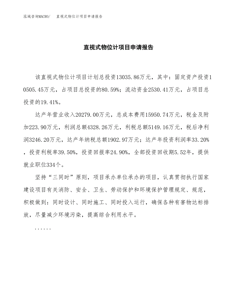 直视式物位计项目申请报告模板（总投资13000万元）.docx_第2页