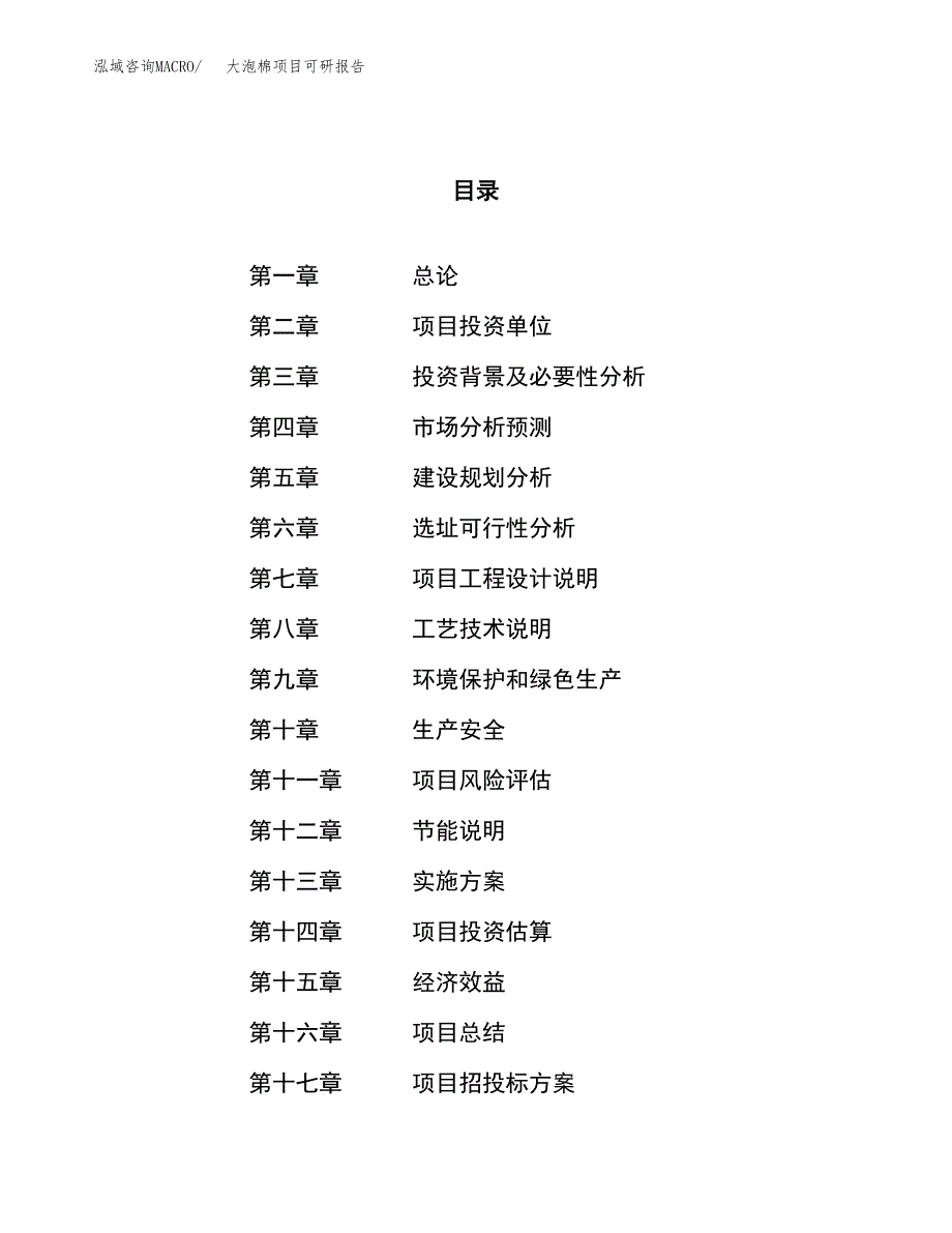 大泡棉项目可研报告（立项申请）_第1页