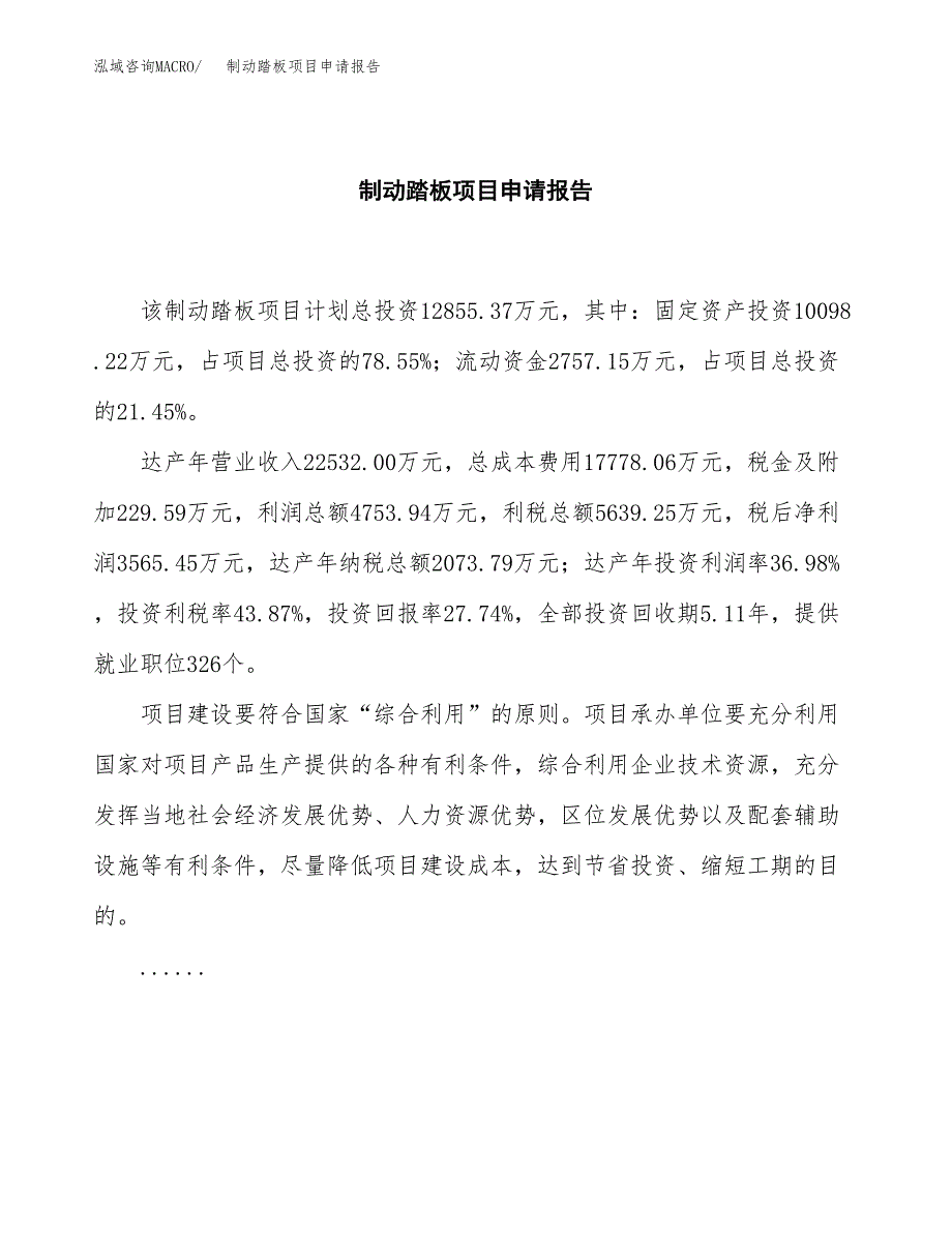 制动踏板项目申请报告模板（总投资13000万元）.docx_第2页