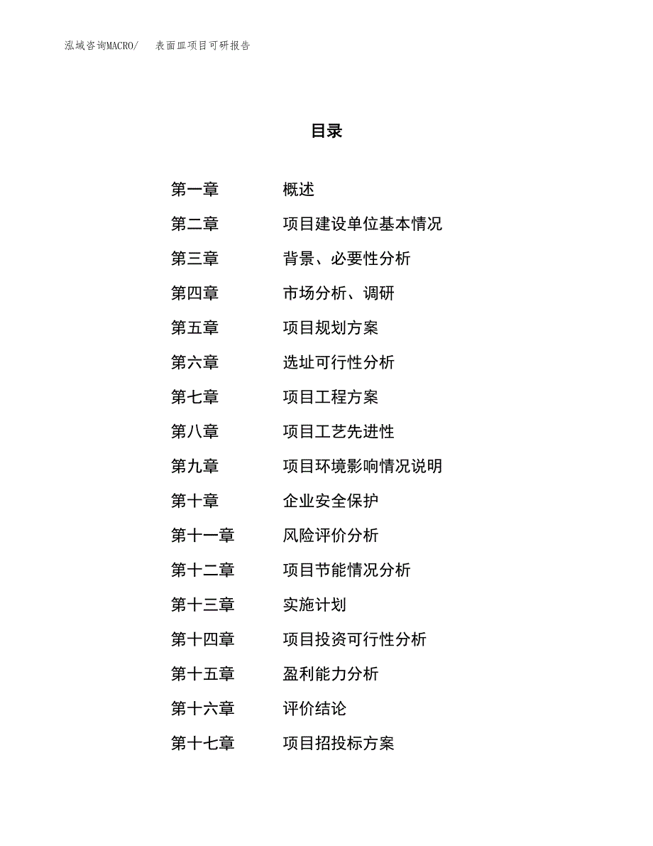 表面皿项目可研报告（立项申请）_第1页