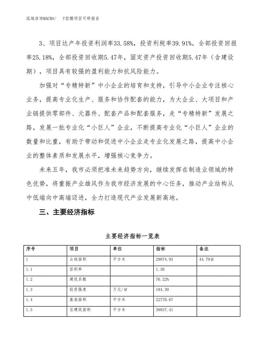 T型膜项目可研报告（立项申请）_第5页