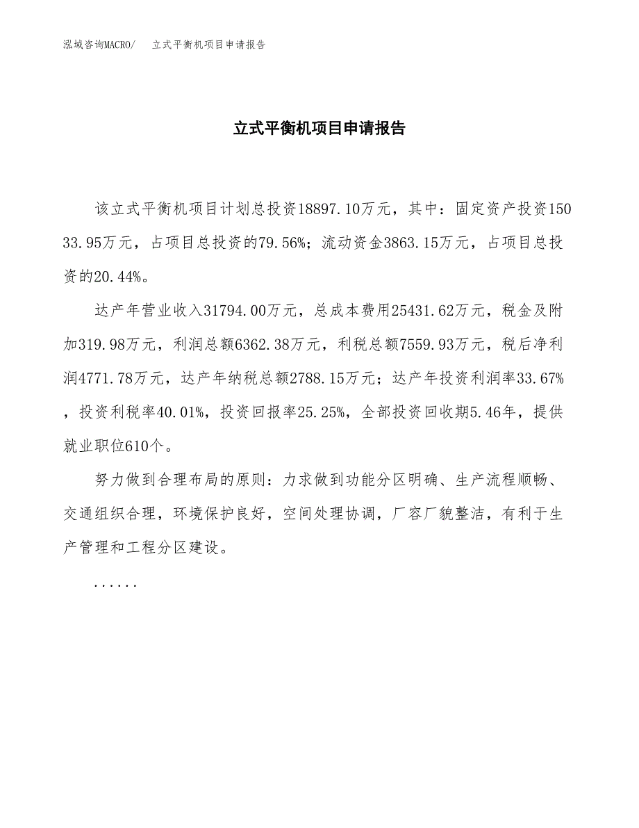 立式平衡机项目申请报告模板（总投资19000万元）.docx_第2页