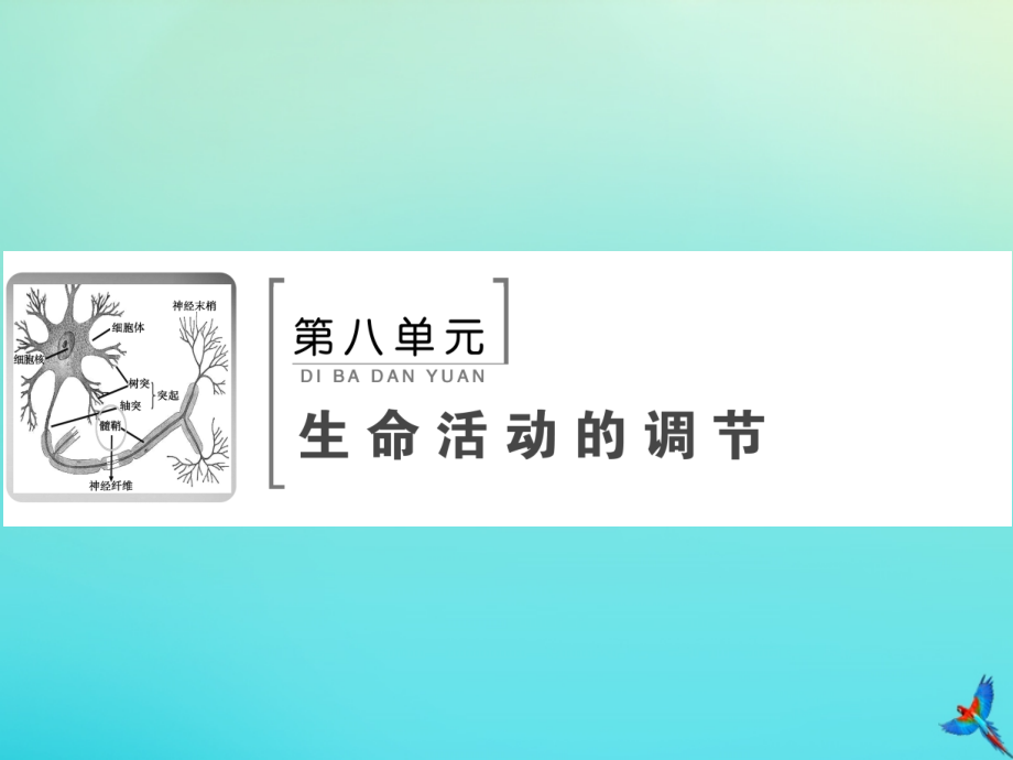 2020版高考生物一轮复习 第24讲 激素调节及神经调节与体液调节的关系课件 新人教版_第1页