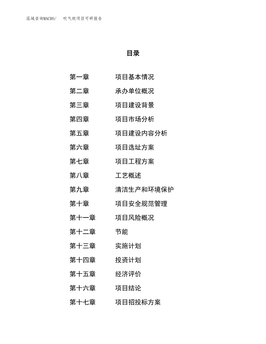 吹气枕项目可研报告（立项申请）_第1页