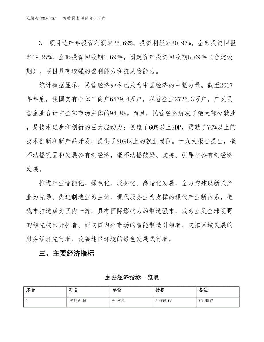 有效霉素项目可研报告（立项申请）_第5页