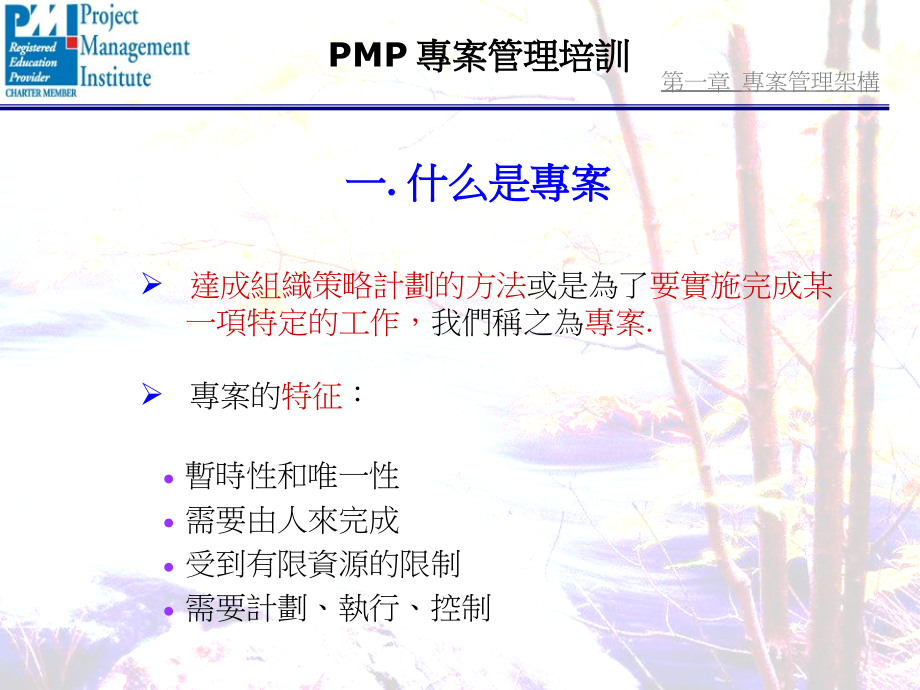 pmp项目管理实用培训课程.ppt_第2页