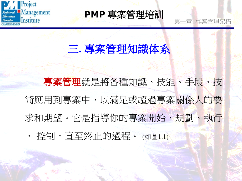 pmp项目管理实用培训课程.ppt_第4页
