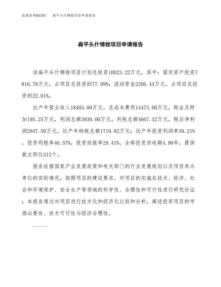 扁平头什锦锉项目申请报告模板（总投资10000万元）.docx_第2页