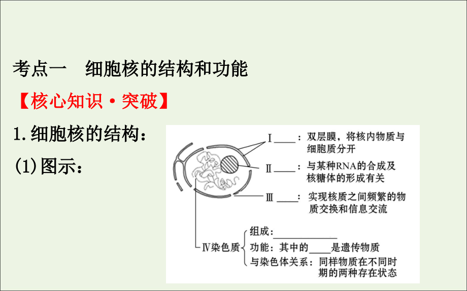 2020届高考生物一轮复习 2.3 细胞核&mdash;&mdash;系统的控制中心课件_第4页