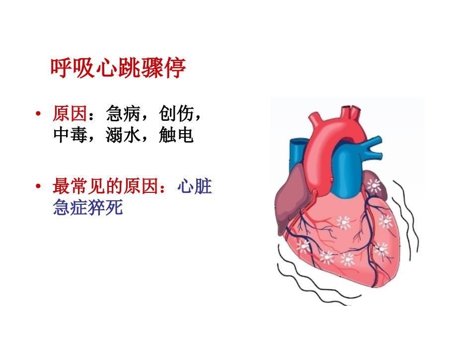 心肺复苏指南培训讲义_第4页