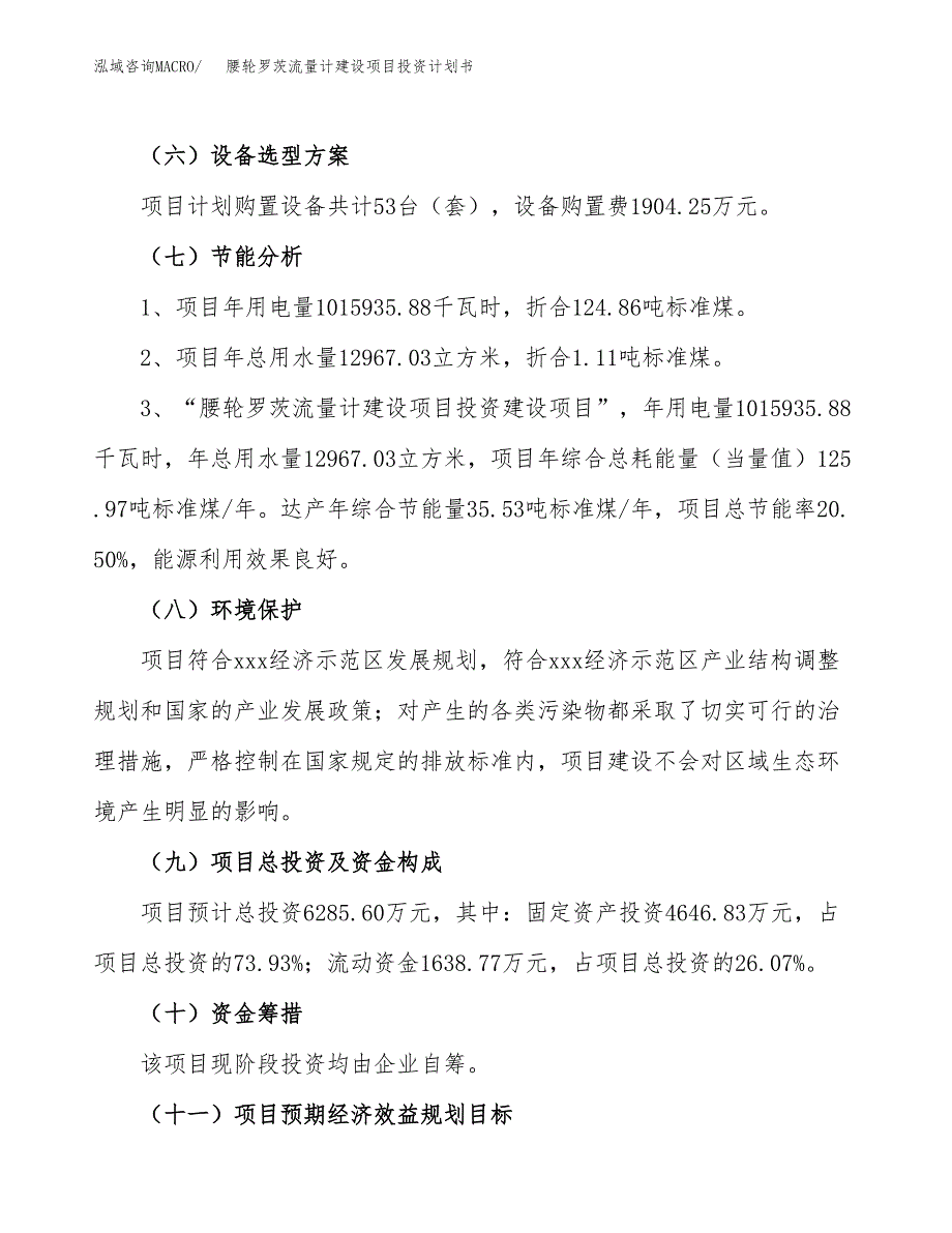 腰轮罗茨流量计建设项目投资计划书（总投资6000万元）.docx_第2页