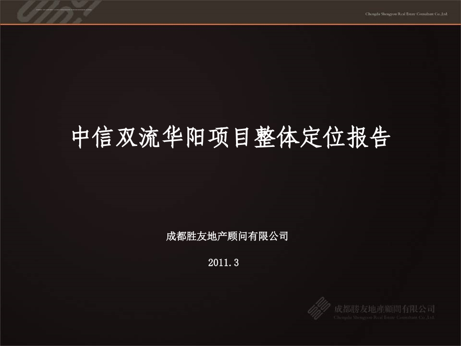 某公司项目整体定位报告.ppt_第1页