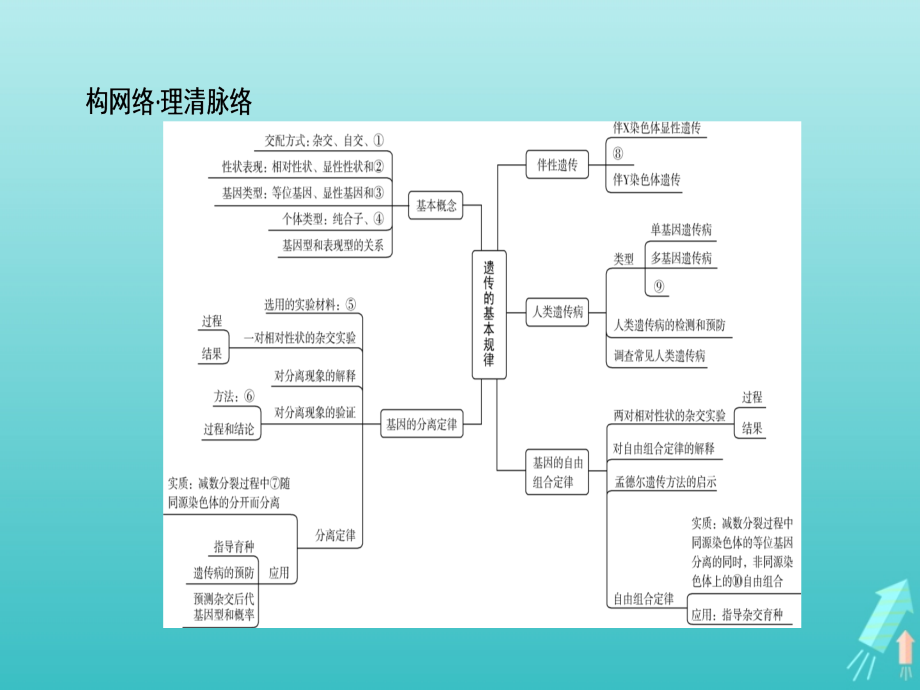 江苏省2020高考生物大一轮复习 第5单元 第1讲 基因的分离定律课件_第2页