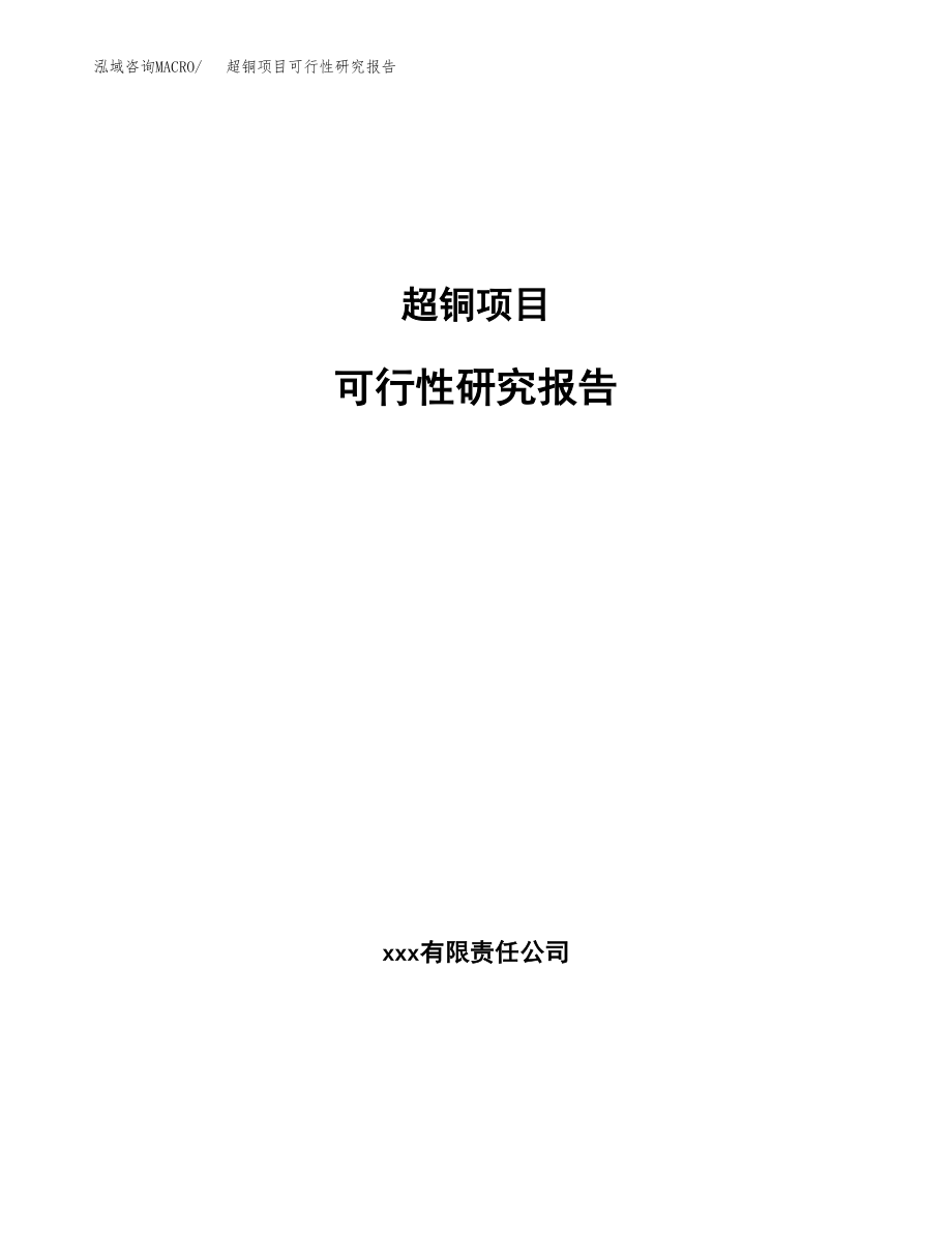 超铜项目可行性研究报告(可编辑)_第1页