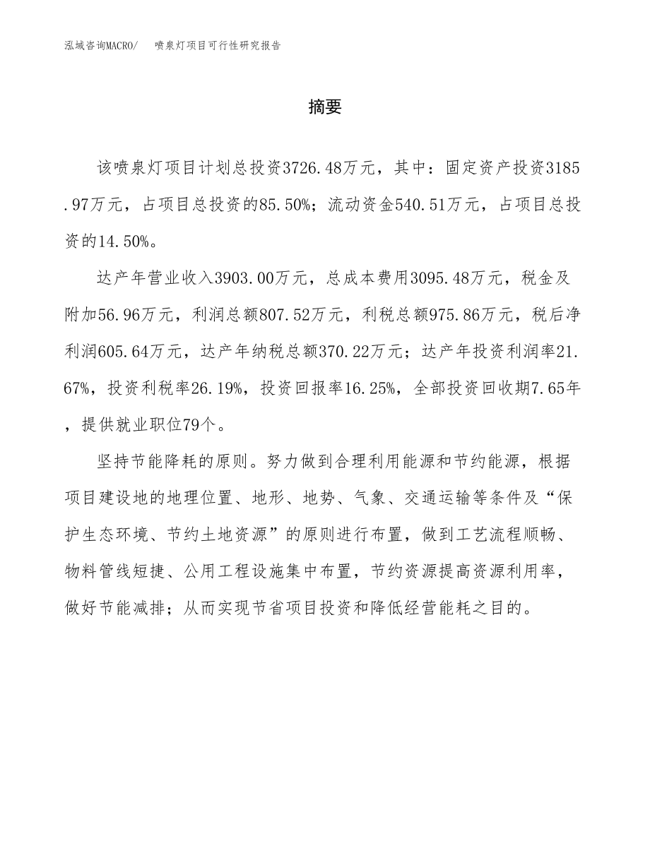 喷泉灯项目可行性研究报告(可编辑)_第2页