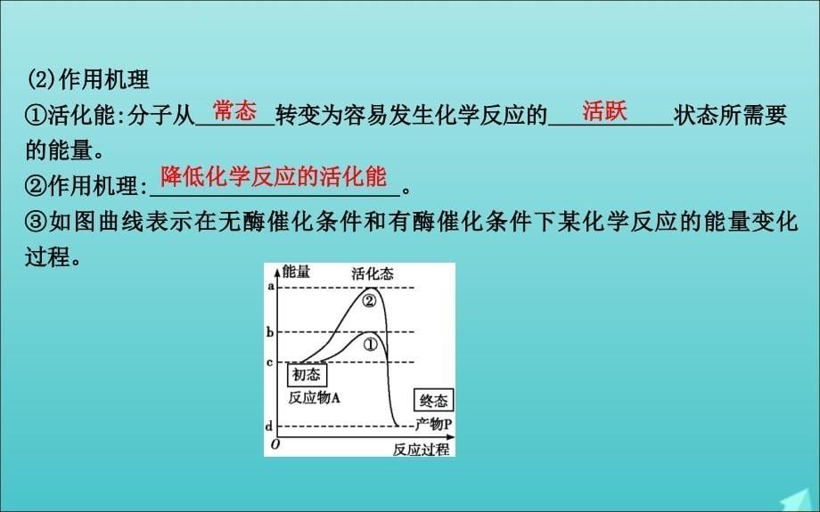 2020版高考生物总复习 第8讲 酶与atp课件 新人教版_第5页