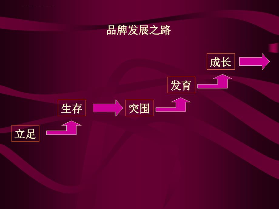 广州华艺长双鹿业2003品牌战略思考.ppt_第5页