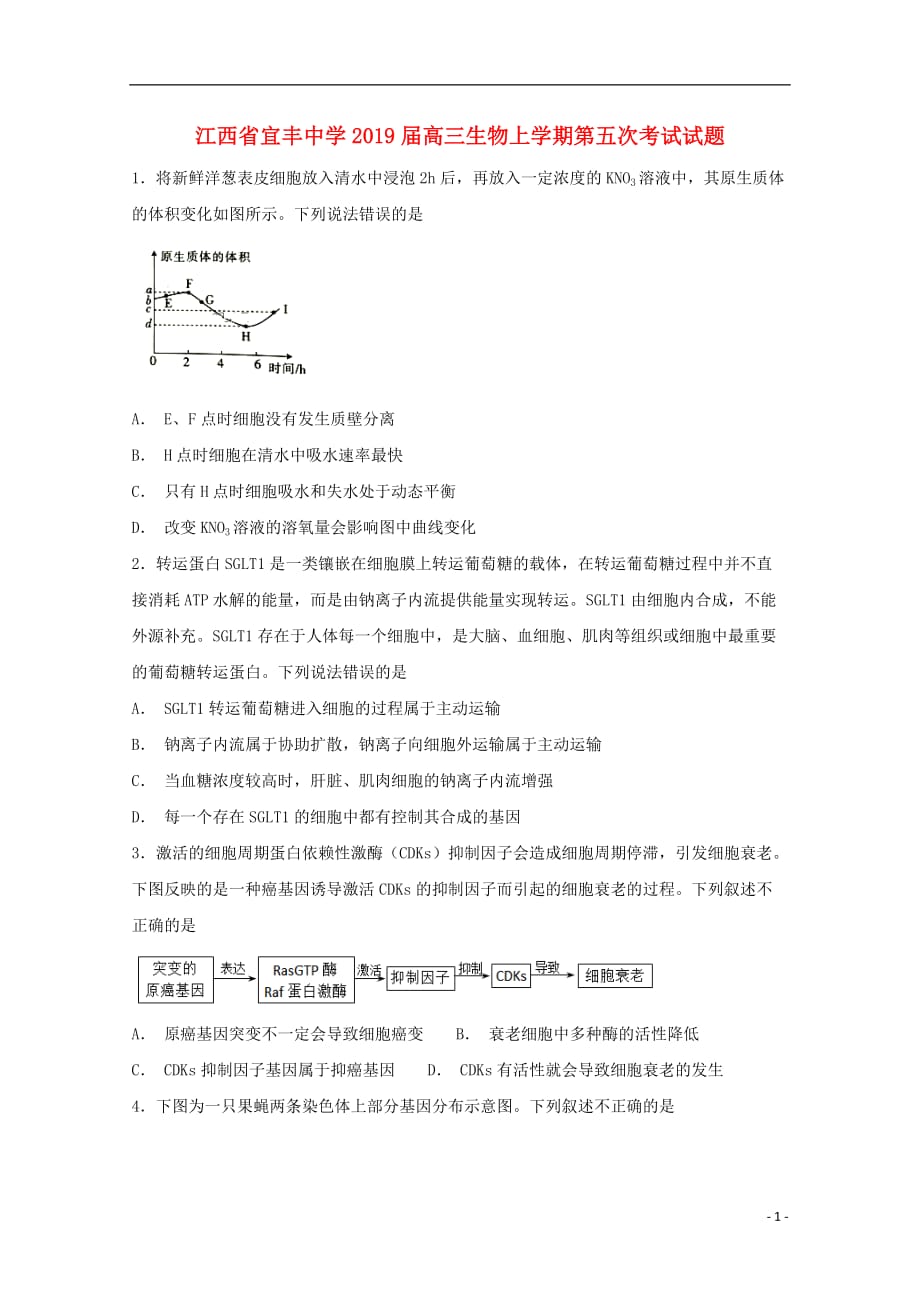 江西省宜丰中学2019届高三生物上学期第五次考试试题_第1页