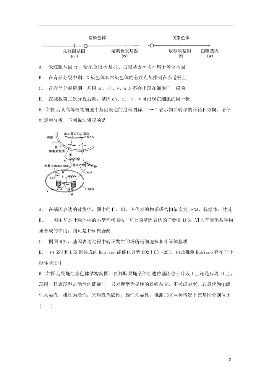 江西省宜丰中学2019届高三生物上学期第五次考试试题_第2页