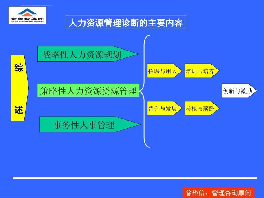 某著名咨询公司的人力资源报告.ppt_第5页