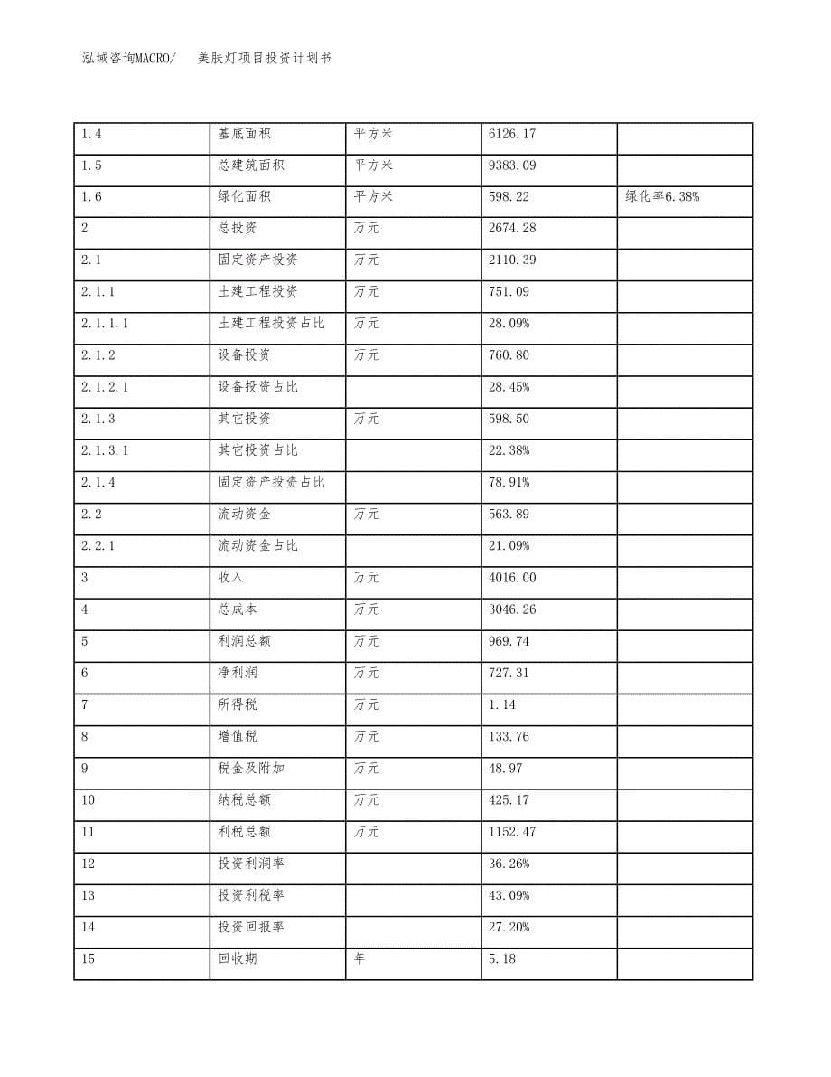 美肤灯项目投资计划书（12亩）.docx_第5页