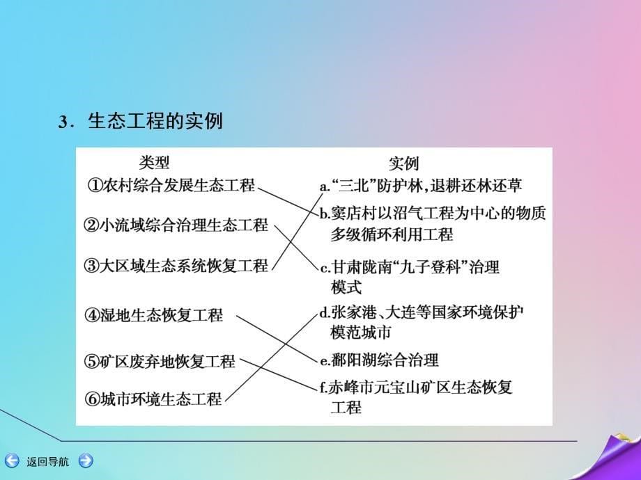 2020届高三生物一轮复习 第十一单元 第41讲 生态工程课件 新人教版_第5页