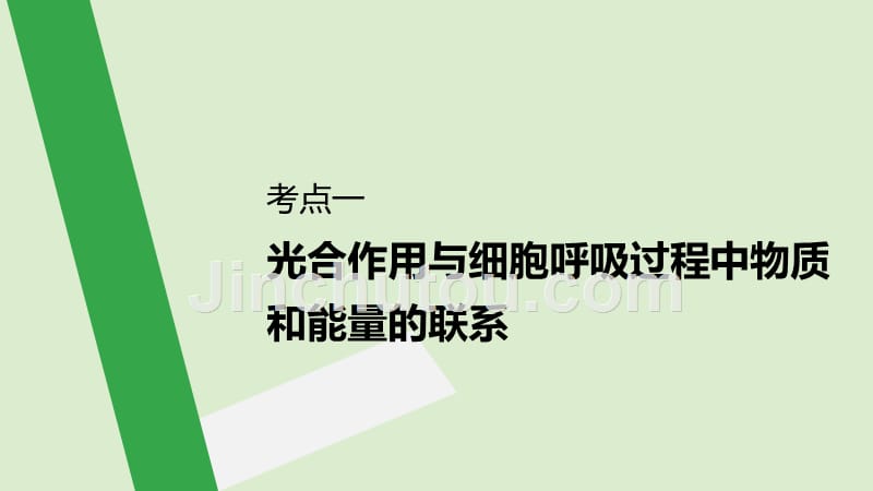 （人教通用）2020版高考生物大一轮复习 第三单元 细胞的能量供应和利用 第10讲 光合作用与细胞课件_第4页