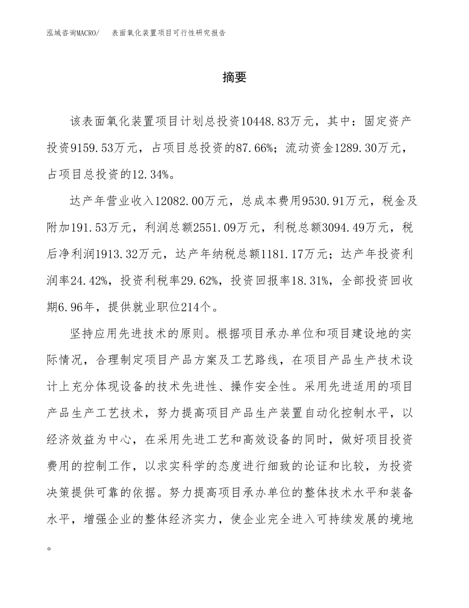 表面氧化装置项目可行性研究报告(可编辑)_第2页