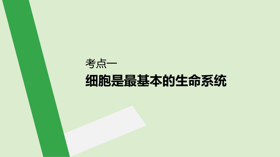 （人教通用）2020版高考生物大一轮复习 第一单元 细胞的概述及其分子组成 第1讲 走近细胞课件_第4页