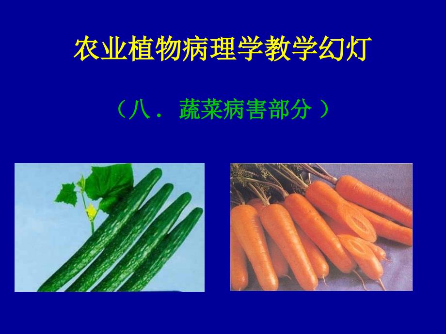 农业植物病理学蔬菜病害_第1页