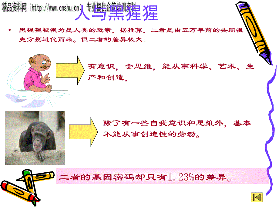 论人类自然科学史上的三大计划.ppt_第4页