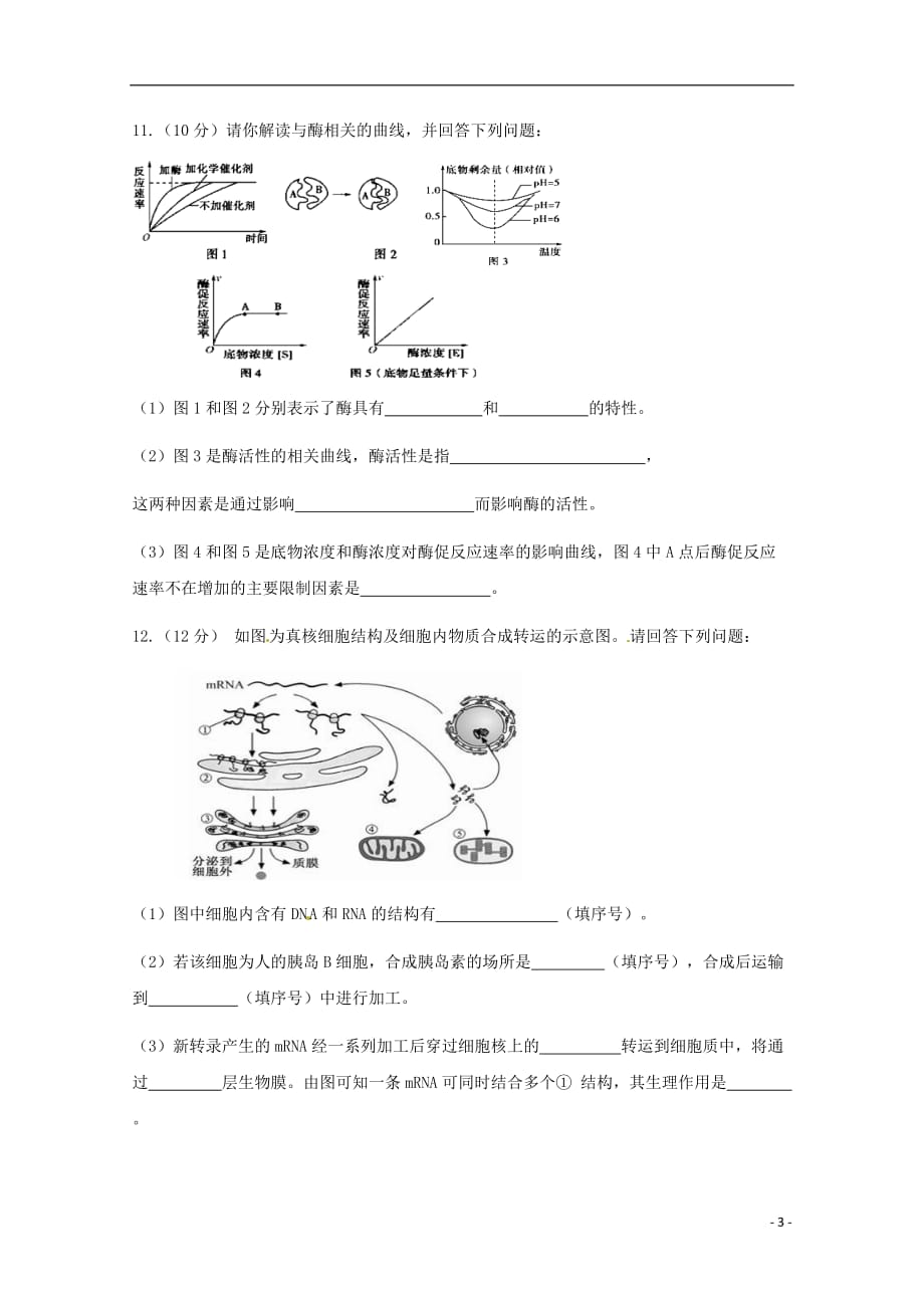 西藏拉萨北京实验中学2019届高三生物上学期第一次月考试题_第3页