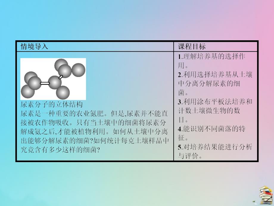 2019-2020学年高中生物 1.2 分离特定的微生物并测定其数量课件 苏教版选修1_第2页