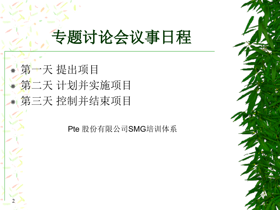 项目领导管理精选.ppt_第2页