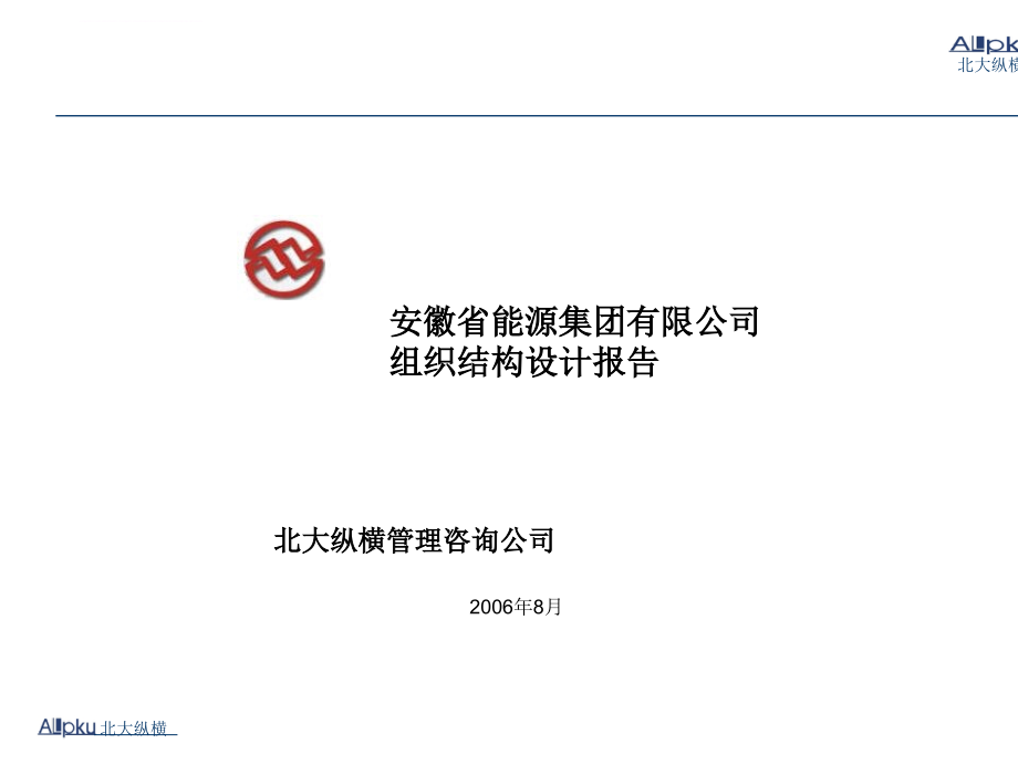 某能源集团有限公司组织结构设计报告.ppt_第1页