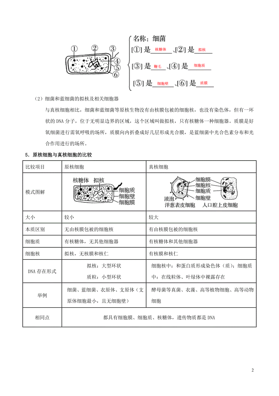 浙江新高考备战2020年高考生物 考点一遍过02 细胞的结构（含解析）_第2页